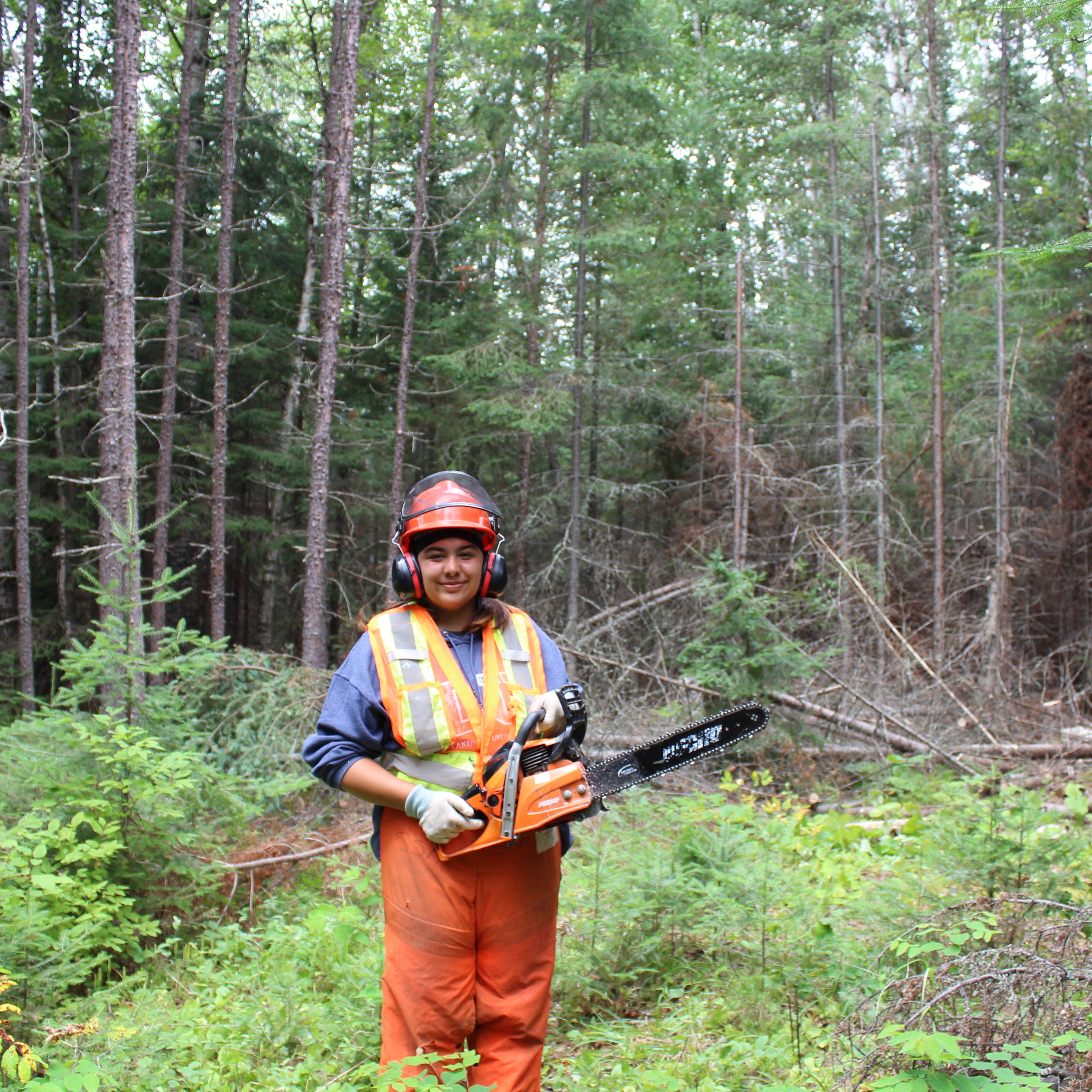 chainsaw training