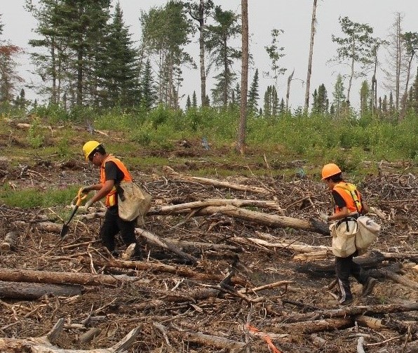 OYEP participants planting trees